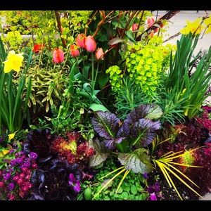 Meet your Posher, Amy